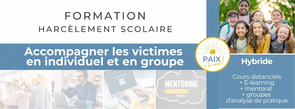 formation-professionnelle-harcelement-scolaire-accompagner-victime-hybride